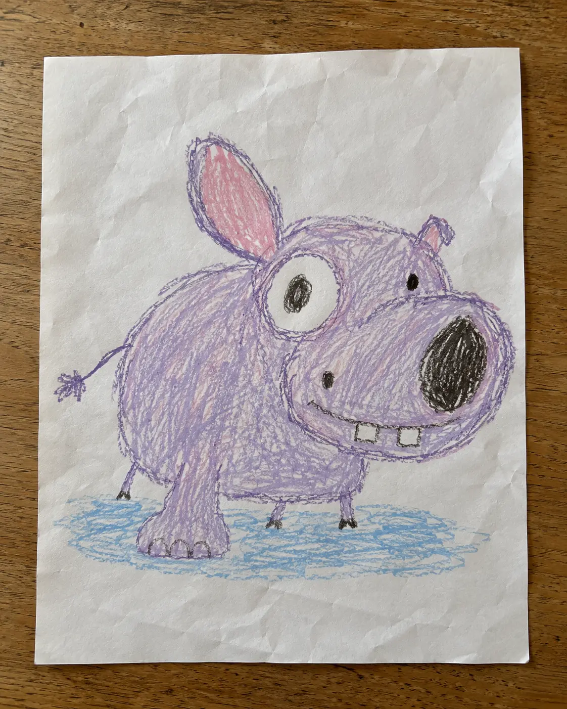 Drawing of the hippo